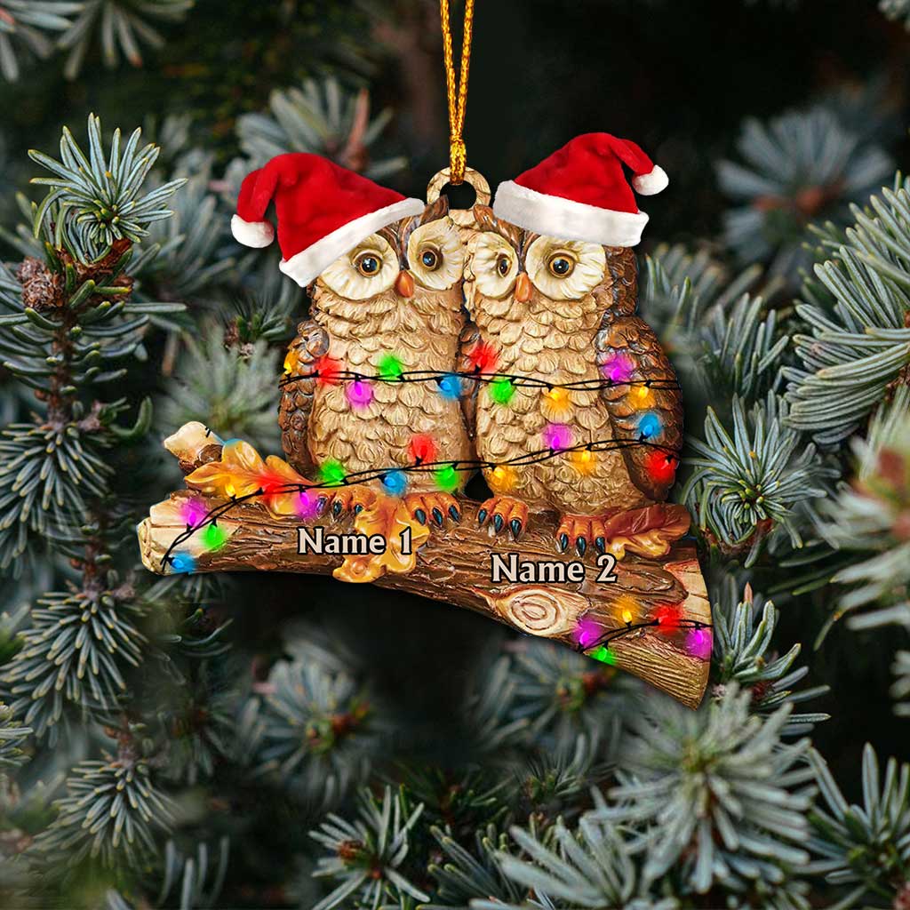 Owl Couple On Branch - Personalized Christmas Ornament (Printed On Both Sides)