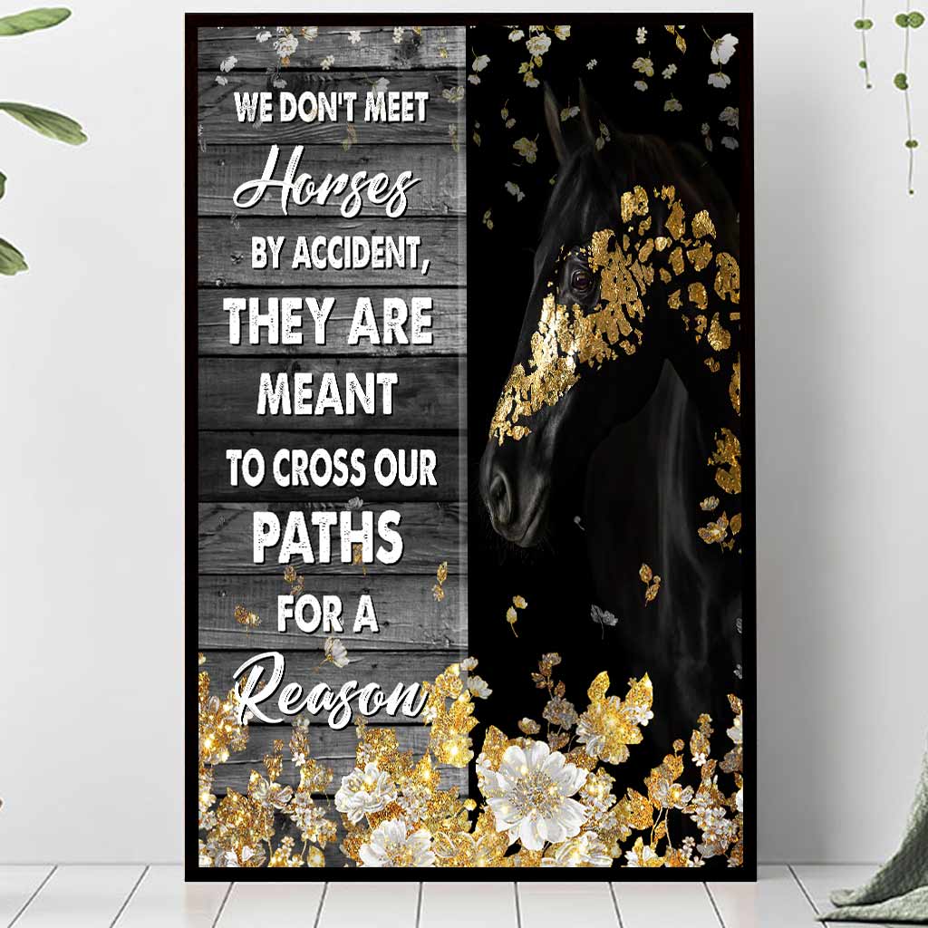 We Don't Meet Horses By Accident - Poster