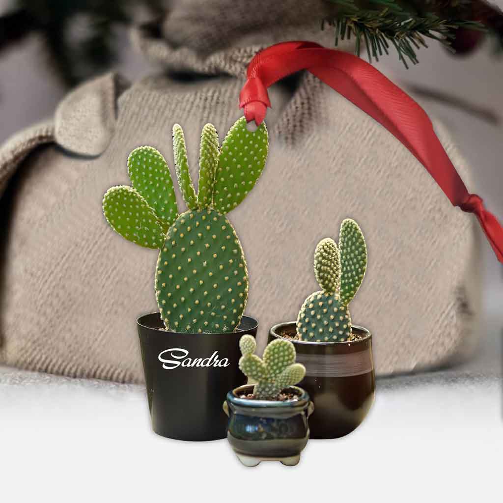 Cactus Lover - Personalized Christmas Ornament (Printed On Both Sides)