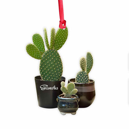 Cactus Lover - Personalized Christmas Ornament (Printed On Both Sides)