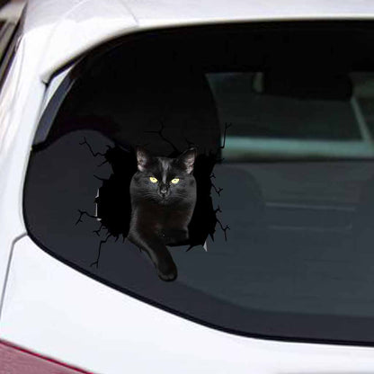 Black Cat Decal Die Cut 062021