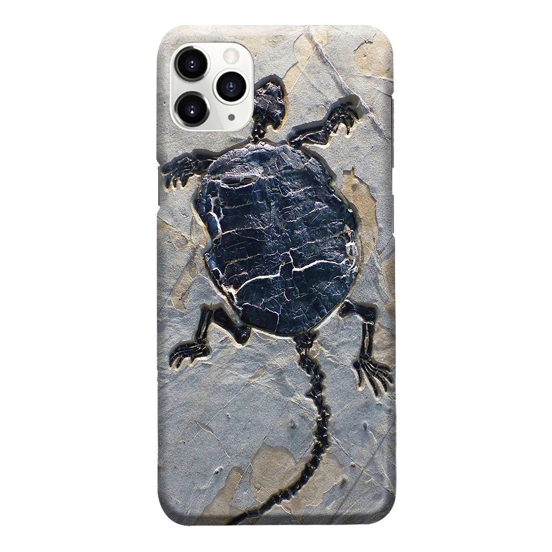 Cryptodiran Fossil Turtle Phone Case