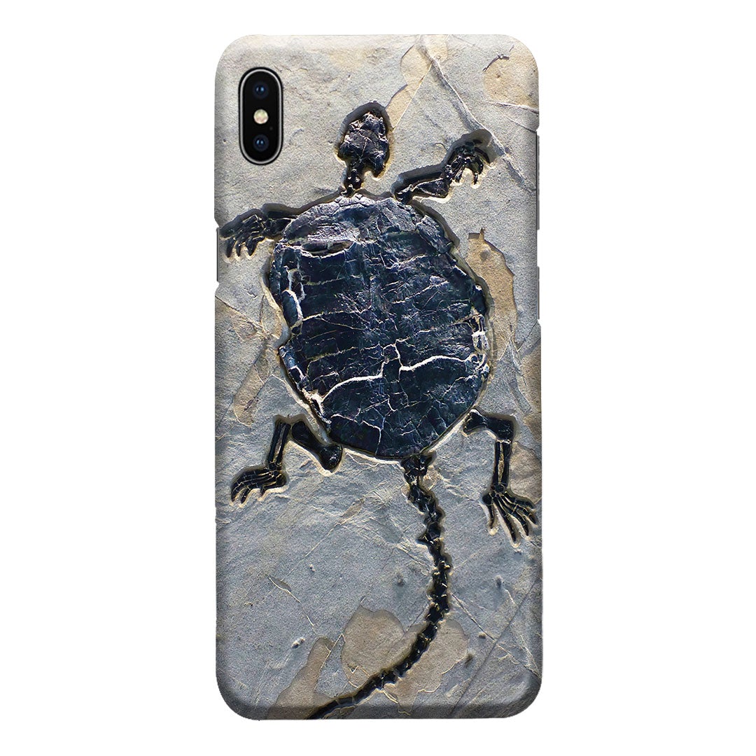 Cryptodiran Fossil Turtle Phone Case