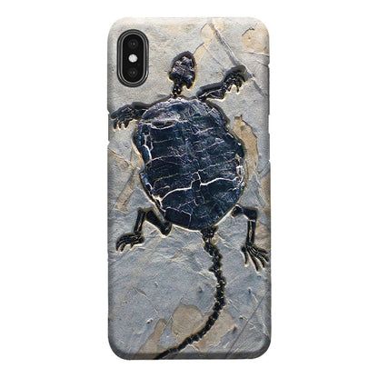 Cryptodiran Fossil Turtle Phone Case