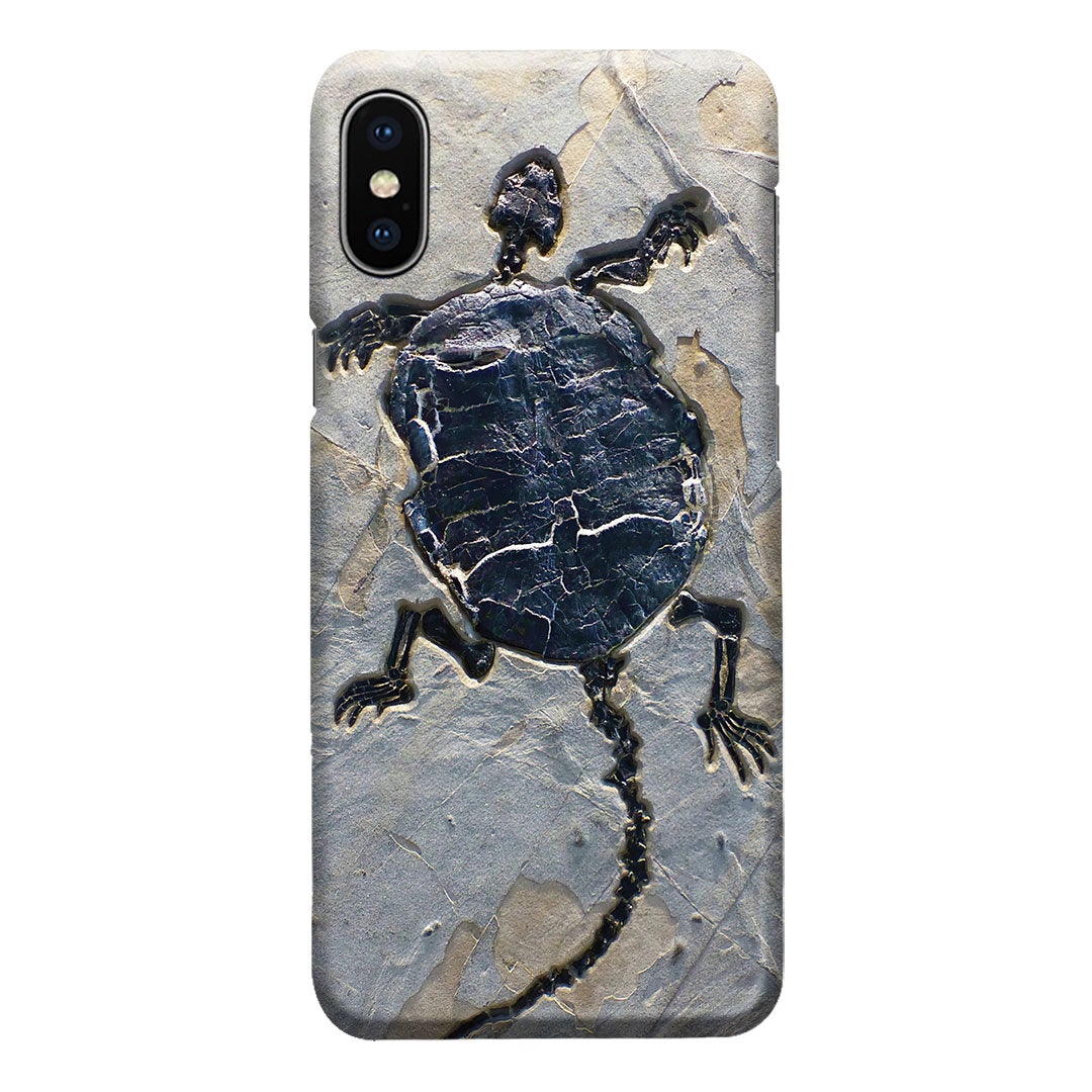 Cryptodiran Fossil Turtle Phone Case