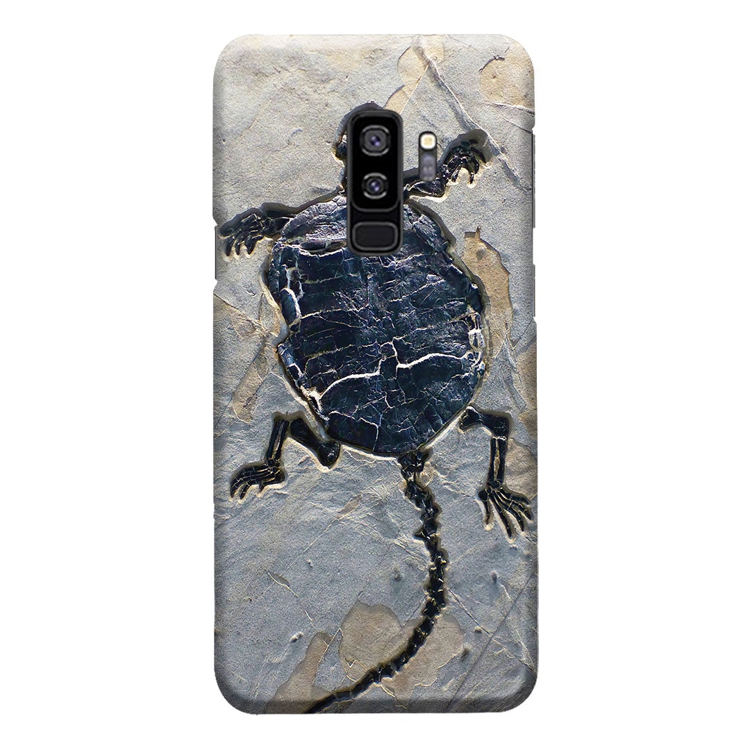 Cryptodiran Fossil Turtle Phone Case